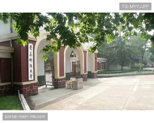 DFB与高校合作推出“足球管理”硕士项目，首批招生即将启动